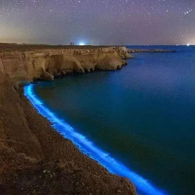 تور قشم