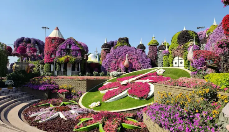 نکات مهم پیش از رزرو تور دبی هتل 5 ستاره