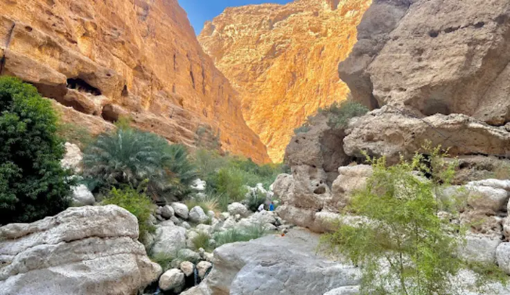 چگونه ارزانترین تور عمان از شیراز را پیدا کنیم و نکاتی برای کاهش هزینه های سفر